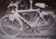 cycinfo.jpg